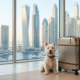 pet relocation 80x80